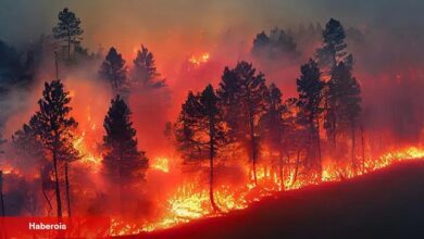 ÇEKÜL’den orman yangınlarıyla mücadelede yol haritası - Haberois ÇEKÜL’den orman yangınlarıyla mücadelede yol haritası