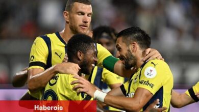 Fenerbahçe'nin Alanyaspor istatistiği!