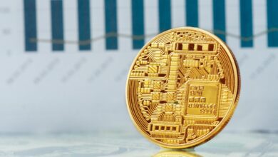 İki Dev Varlık Yöneticisi Türklerin Sevdiği Bu Altcoin’i Seçti!