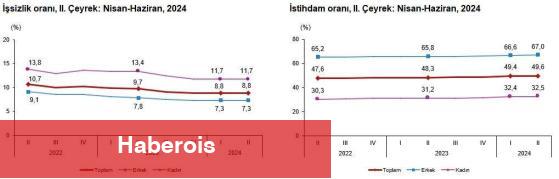 İkinci çeyrekte mevsim etkisinden arındırılmış işsizlik oranı %8,8 oldu - Haberois İkinci çeyrekte mevsim etkisinden arındırılmış işsizlik oranı %8,8 oldu
