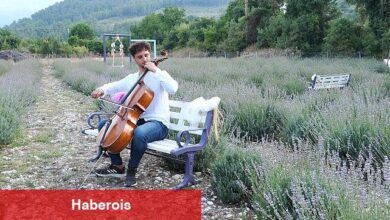 Lavanta bahçesinde çello resitali - Haberois Lavanta bahçesinde çello resitali
