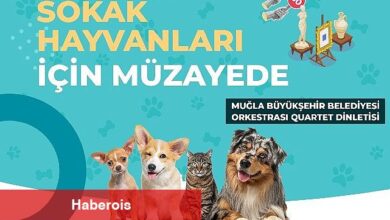 Muğla Büyükşehir Belediyesi tüm geliri sokak hayvanları yararına kullanılacak müzayede düzenliyor.