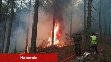 Muğla Büyükşehir Orman Yangınlarında Tüm Gücüyle Sahada