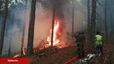 Muğla Büyükşehir orman yangınlarında tüm gücüyle sahada