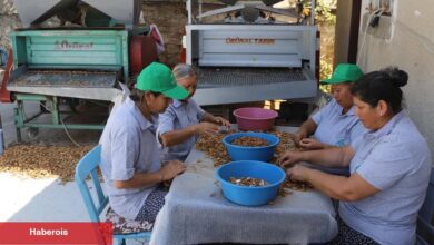 Muğla tarımı dünyaya açılıyor