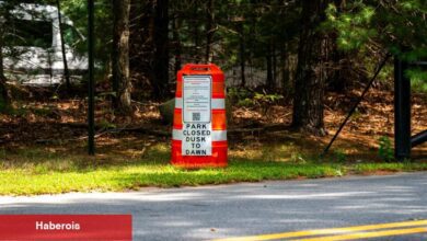 Nadir ama Tehlikeli Bir Sivrisinek Taşınan Virüs Massachusetts'te Rutinleri Değiştiriyor - Haberois Nadir ama Tehlikeli Bir Sivrisinek Taşınan Virüs Massachusetts'te Rutinleri Değiştiriyor