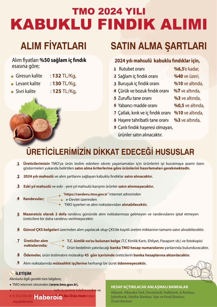 TMO fındık alımlarına başladı