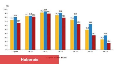 Tüik: İnternet kullanan bireylerin oranı %88,8 oldu