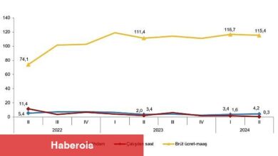 Tüik: İstihdam endeksi yıllık %4,2 arttı - Haberois Tüik: İstihdam endeksi yıllık %4,2 arttı