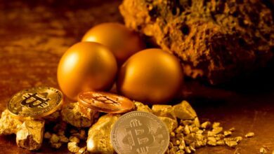 Uzun Vadeli Kârlar İçin Bitcoin mi Altın mı? Willy Woo Açıklıyor!