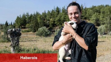 Yangından kurtarılan hayvanlar rehabilite ediliyor - Haberois Yangından kurtarılan hayvanlar rehabilite ediliyor
