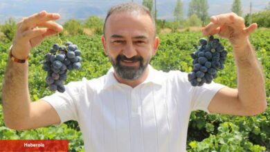 Yerli üzüm İtalyan üzümüne takip oldu! Migrenden kansere, her kaygıya deva