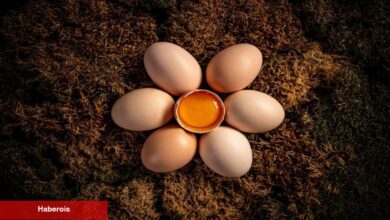 Yumurta akı cilde yeterli gelir mi?