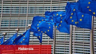 AB, Macaristan'ın düzenlediği toplantıyı boykot etti