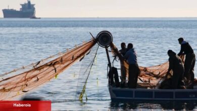 Balıkçılığa destek yüzde 43 ile yüzde 100 arttırıldı - Haberois Balıkçılığa destek yüzde 43 ile yüzde 100 arttırıldı