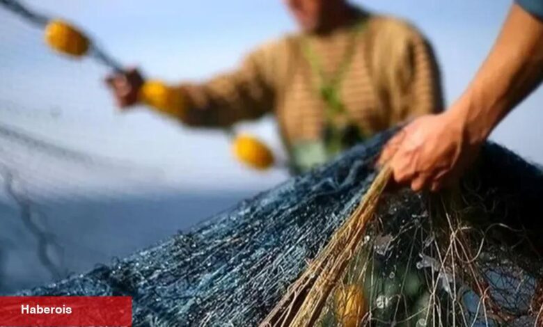 Balıkta av sezonu açıldı, balık hasretine son - Haberois Balıkta av sezonu açıldı, balık hasretine son