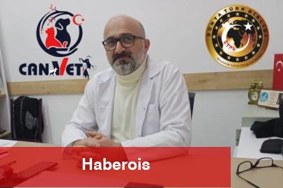 Başkan Alkan Yurtta sulh, cihanda sulh’u şiar edindik - Haberois Başkan Alkan Yurtta sulh, cihanda sulh’u şiar edindik