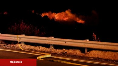 Batı'da Çıkan Büyük Orman Yangınları Hakkında Bilmeniz Gerekenler - Haberois Batı'da Çıkan Büyük Orman Yangınları Hakkında Bilmeniz Gerekenler