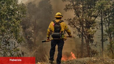 Batı'daki Yangınlarla Mücadele Eden İtfaiyecilere Daha Soğuk Hava Tahmini Rahatlama Sağlıyor - Haberois Batı'daki Yangınlarla Mücadele Eden İtfaiyecilere Daha Soğuk Hava Tahmini Rahatlama Sağlıyor