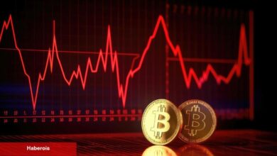 Bitcoin İçin Son Baht mı? Ünlü Analist Kritik Direnci Açıkladı!