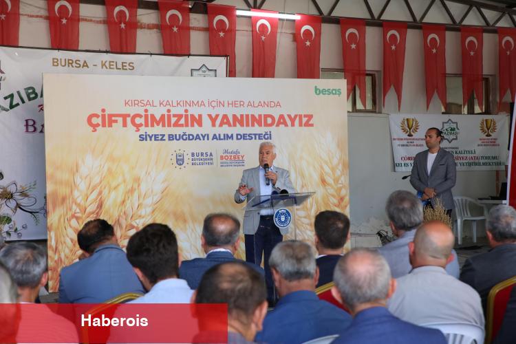 Bursa Büyükşehir'den çiftçiye ‘siyez buğdayı’ desteği - Haberois Bursa Büyükşehir'den çiftçiye ‘siyez buğdayı’ desteği