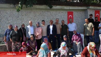 Bursa Büyükşehir'den çiftçiye ‘siyez buğdayı’ desteği