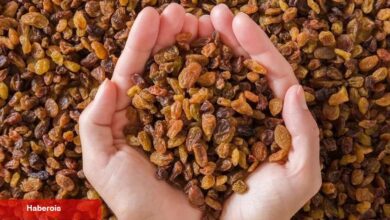 Çekirdeksiz kuru üzüm ihracatında artış - Haberois Çekirdeksiz kuru üzüm ihracatında artış