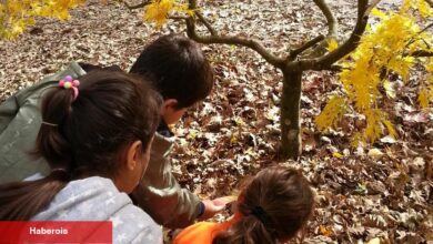 ÇEKÜL Bilgi Ağacı’na başvurular başladı