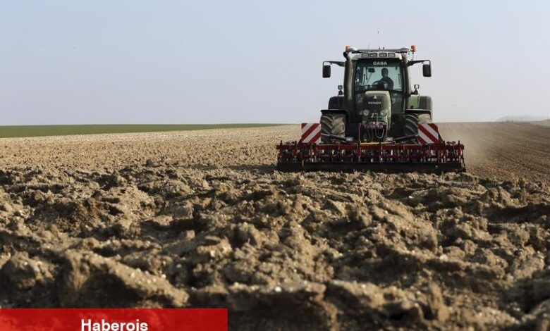 CHP Edirne Milletvekili Ün: "Kuraklıktan etkilenen tarlalarda rekolte yarı yarıya düştü" - Haberois CHP Edirne Milletvekili Ün: "Kuraklıktan etkilenen tarlalarda rekolte yarı yarıya düştü"