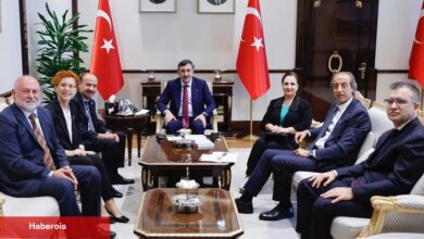 Cumhurbaşkanlığı’na Otizm Raporu sunuldu... Otizm 8 milyon aileyi etkiliyor