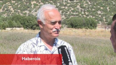 DEİK Başkanı Olpak: Ekonomi lavanta tarlasındaki üzere güllük gülistanlık değil - Haberois DEİK Başkanı Olpak: Ekonomi lavanta tarlasındaki üzere güllük gülistanlık değil