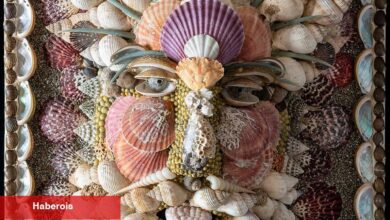 Deniz Kabuğu Sanatı Kitsch Ününü Kaybediyor - Haberois Deniz Kabuğu Sanatı Kitsch Ününü Kaybediyor