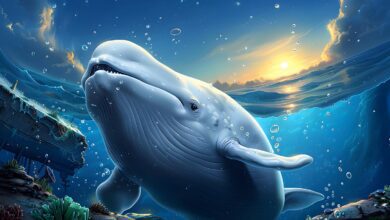 Dikkat: Kripto Para Balinaları Eylül’de Bu 3 Coin’i Depoluyor!