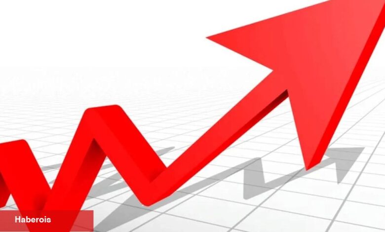 Gayrisafi yurt içi hasıla 2023'te yüzde 5,1 arttı - Haberois Gayrisafi yurt içi hasıla 2023'te yüzde 5,1 arttı