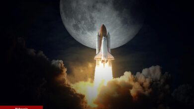 Güney Kore’nin Dev Kripto Borsası Listeliyor: O Altcoin Roketledi!