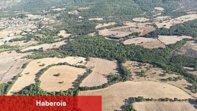 Herkes için Müthiş Yatırım Fırsatı : 99 Bin TL'ye Çanakkale'de İlk Tarlanız Arsago'dan