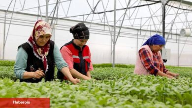 İlklerle tarım ve hayvancılıkta çığır açtılar