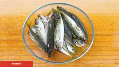 İstavrit balığını temizlemenin en kolay yolları