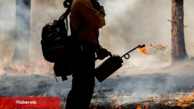 Kaliforniya'da Kontrollü Yangınlar Evleri Kurtarabilir. Neden Daha Fazlası Olmuyor? - Haberois Kaliforniya'da Kontrollü Yangınlar Evleri Kurtarabilir. Neden Daha Fazlası Olmuyor?