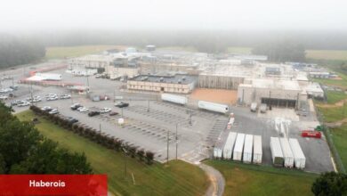 Küçük Bir Kasaba, Domuz Başı Geri Çağrılmasının Ardından Rahatsız Edici Bir İlgi Odağı Oldu - Haberois Küçük Bir Kasaba, Domuz Başı Geri Çağrılmasının Ardından Rahatsız Edici Bir İlgi Odağı Oldu