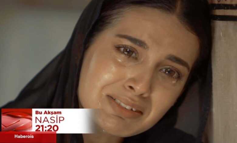Mahi Ferhat ile tekrar buluşmak istiyor! Nasip 17. kısım fragmanı yayınlandı - Haberois Mahi Ferhat ile tekrar buluşmak istiyor! Nasip 17. kısım fragmanı yayınlandı