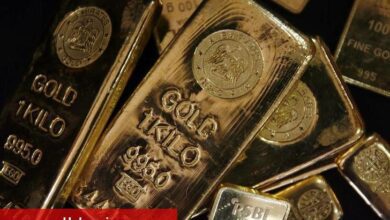 Merkez bankaları, 2024’te altın rezervlerini rekor seviyelere çıkardı - Haberois Merkez bankaları, 2024’te altın rezervlerini rekor seviyelere çıkardı