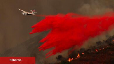 Orange County'de Orman Yangını Çıktı, Tahliye Zorunluluğu Yarattı - Haberois Orange County'de Orman Yangını Çıktı, Tahliye Zorunluluğu Yarattı