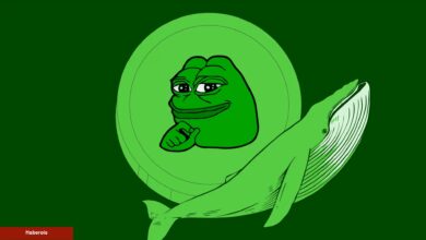 Pepe Coin Balinası Devasa Satış Yaptı: Çöküş mü Geliyor?