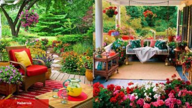 Sonbaharda bahçe ve balkonlarınıza renk katmaya hazır olun! Sonbahar çiçekleri nelerdir? - Haberois Sonbaharda bahçe ve balkonlarınıza renk katmaya hazır olun! Sonbahar çiçekleri nelerdir?