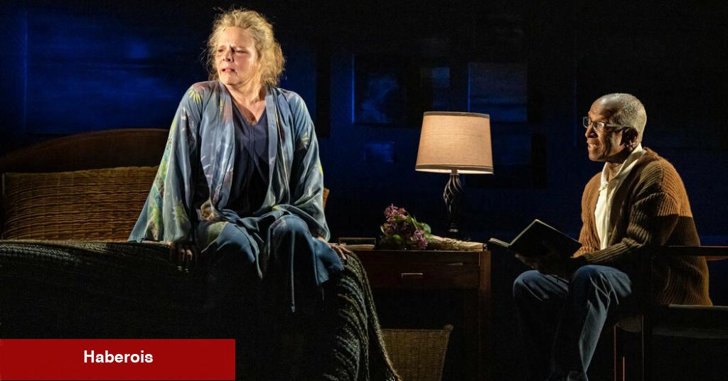 'The Notebook' Aralık'ta Broadway'deki Gösterimini Sonlandıracak. Sırada Turne Var.