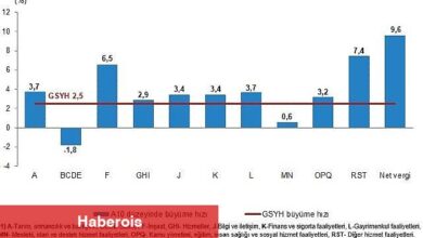 Tüik: Gayrisafi Yurt İçi Hasıla (GSYH) 2024 yılı ikinci çeyreğinde %2,5 arttı