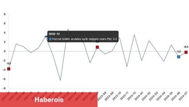 Tüik: Hizmet üretim endeksi yıllık %0,1 azaldı