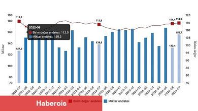 Tüik: İhracat birim değer endeksi %0,9 arttı