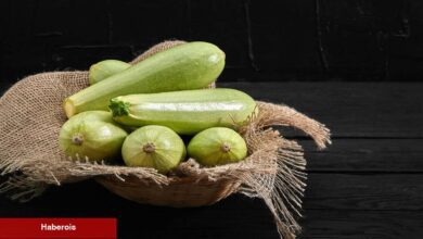 Üç günde üç kilo verdiren kabak detoksu!